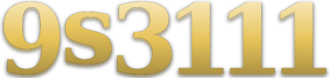 9s3111 logo